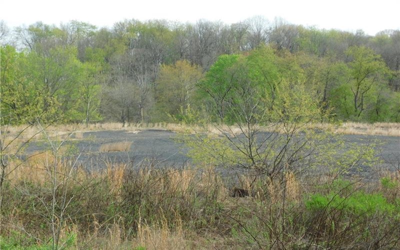 Alberts Road, Ruffs Dale, 15679, ,Farm-acreage-lot,For Sale,Alberts Road,1749246
