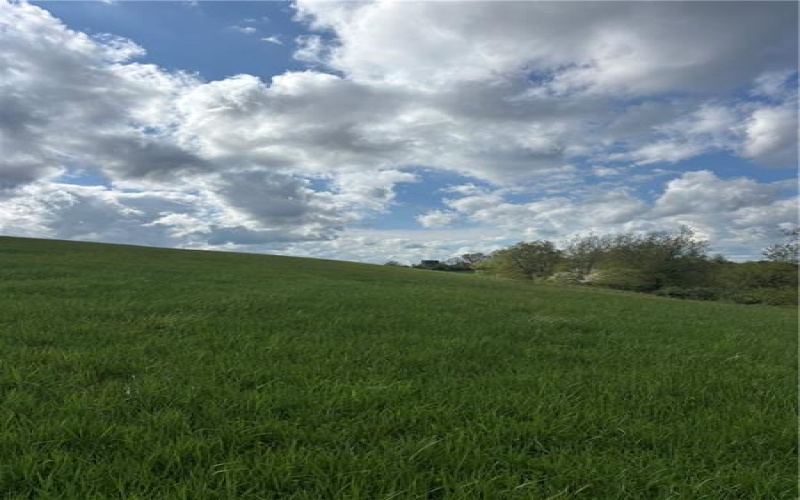 108 Oak Spring Rd, West Finley, 15377, 3 Bedrooms Bedrooms, ,1.1 BathroomsBathrooms,Farm-acreage-lot,For Sale,Oak Spring Rd,1750923