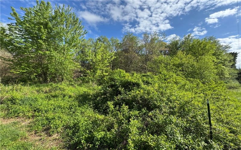 690 Gun Club Rd, Uniontown, 15401, ,Farm-acreage-lot,For Sale,Gun Club Rd,1750903