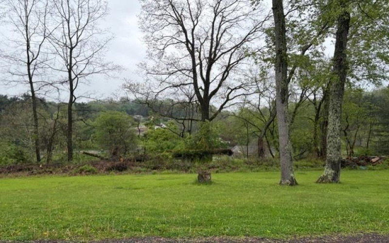 Lot 26 Wabash Street, Cecil Twp, 15321, ,Farm-acreage-lot,For Sale,Wabash Street,1751089