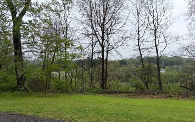 Lot 26 Wabash Street, Cecil Twp, 15321, ,Farm-acreage-lot,For Sale,Wabash Street,1751089