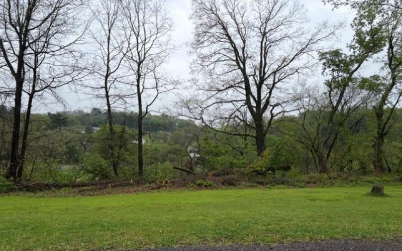 Lot 26 Wabash Street, Cecil Twp, 15321, ,Farm-acreage-lot,For Sale,Wabash Street,1751089