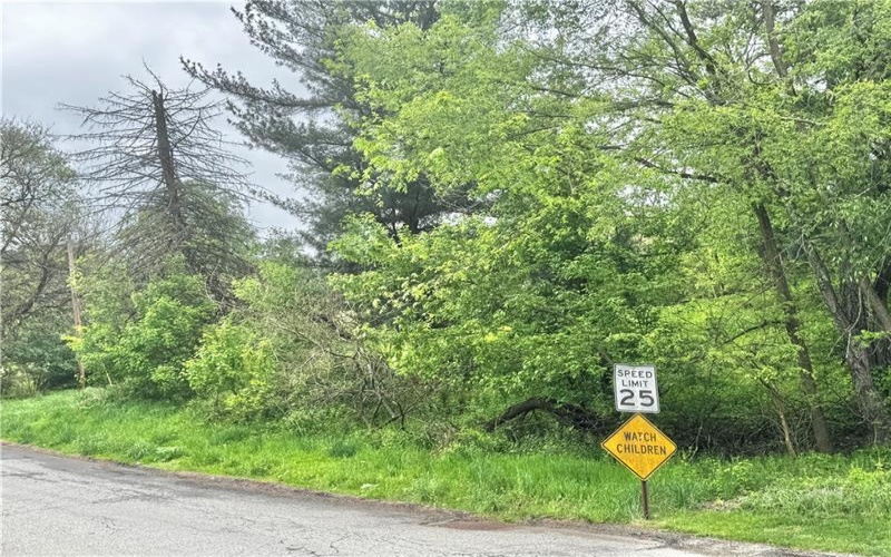 902 Wanner Ave, Monongahela, 15063, ,Farm-acreage-lot,For Sale,Wanner Ave,1751177