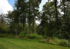 Lot # 7 Ptarmigan, Champion, 15622, ,Farm-acreage-lot,For Sale,Ptarmigan,1751662