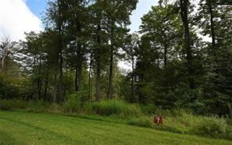 Lot # 7 Ptarmigan, Champion, 15622, ,Farm-acreage-lot,For Sale,Ptarmigan,1751662