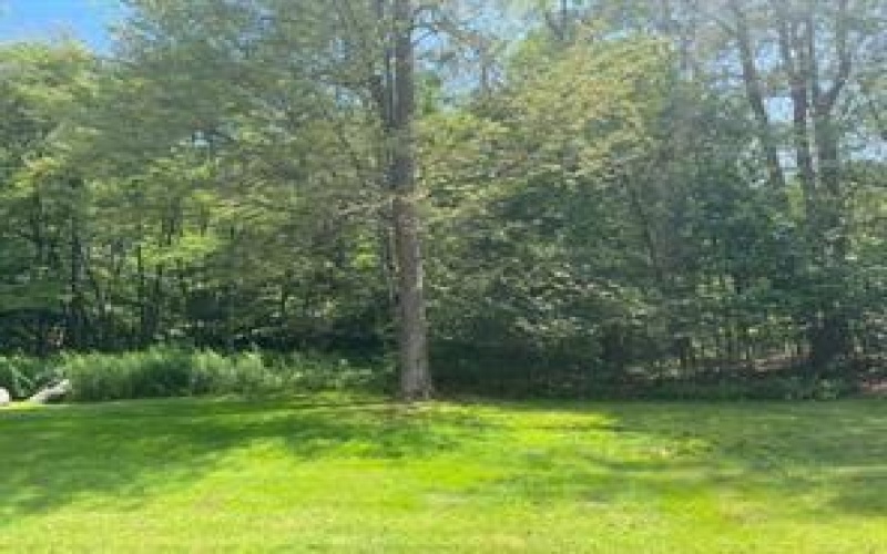 182 Pheasant Run Ln, Champion, 15622, ,Farm-acreage-lot,For Sale,None,Pheasant Run Ln,1751738