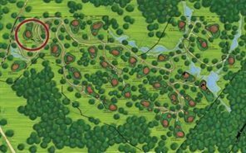182 Pheasant Run Ln, Champion, 15622, ,Farm-acreage-lot,For Sale,None,Pheasant Run Ln,1751738