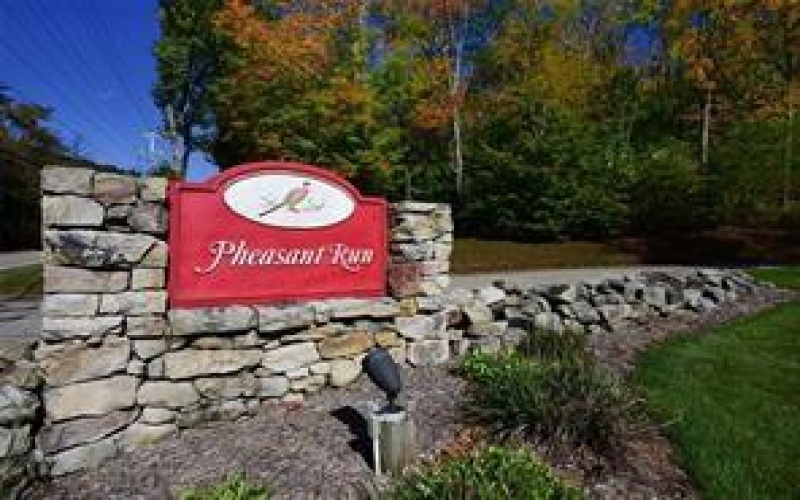 182 Pheasant Run Ln, Champion, 15622, ,Farm-acreage-lot,For Sale,None,Pheasant Run Ln,1751738