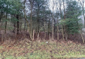 Lot 5 Ringertown Road, Export, 15632, ,Farm-acreage-lot,For Sale,Ringertown Road,1751927