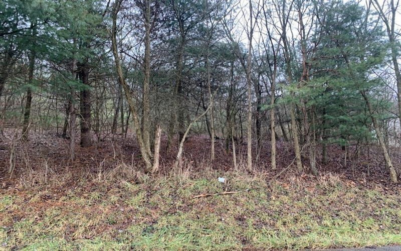 Lot 5 Ringertown Road, Export, 15632, ,Farm-acreage-lot,For Sale,Ringertown Road,1751927
