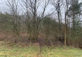 Lot 6 Ringertown Road, Export, 15632, ,Farm-acreage-lot,For Sale,Ringertown Road,1751928