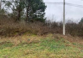Lot 7 Ringertown Road, Export, 15632, ,Farm-acreage-lot,For Sale,Ringertown Road,1751929
