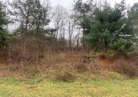 Lot 8 Ringertown Road, Export, 15632, ,Farm-acreage-lot,For Sale,Ringertown Road,1751931