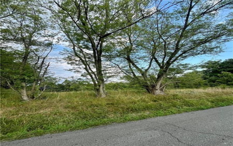 1054 Eldersville Rd, Burgettstown, 15021, ,Farm-acreage-lot,For Sale,Unusable,Eldersville Rd,1727644