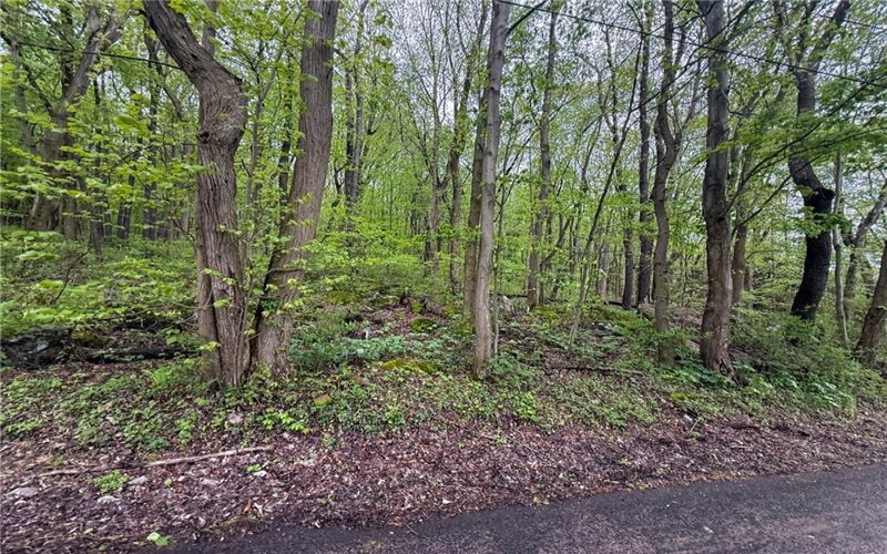 0 Macey Rd, Latrobe, 15650, ,Farm-acreage-lot,For Sale,Macey Rd,1751901