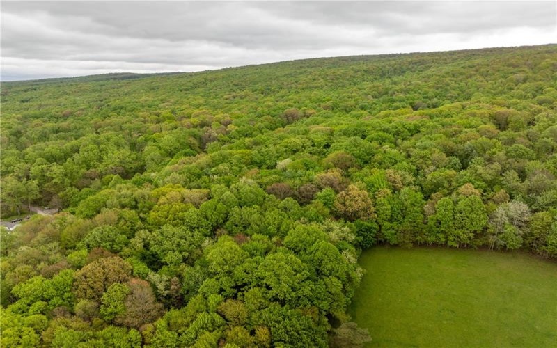 0 Macey Rd, Latrobe, 15650, ,Farm-acreage-lot,For Sale,Macey Rd,1751901