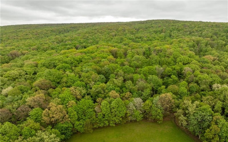 0 Macey Rd, Latrobe, 15650, ,Farm-acreage-lot,For Sale,Macey Rd,1751901