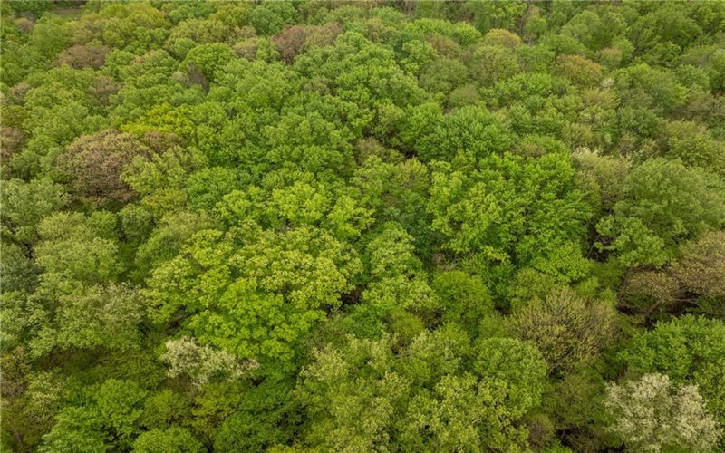 0 Macey Rd, Latrobe, 15650, ,Farm-acreage-lot,For Sale,Macey Rd,1751901