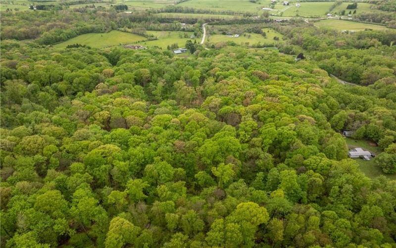 0 Macey Rd, Latrobe, 15650, ,Farm-acreage-lot,For Sale,Macey Rd,1751901