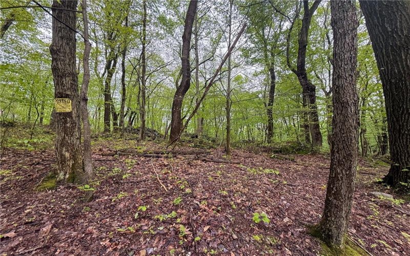 0 Macey Rd, Latrobe, 15650, ,Farm-acreage-lot,For Sale,Macey Rd,1751901