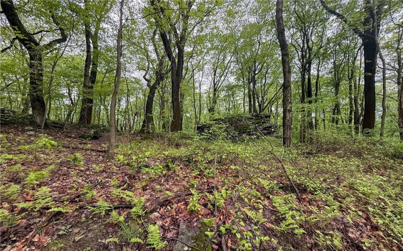 0 Macey Rd, Latrobe, 15650, ,Farm-acreage-lot,For Sale,Macey Rd,1751901