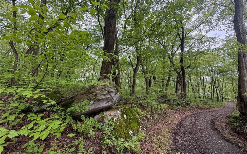 0 Macey Rd, Latrobe, 15650, ,Farm-acreage-lot,For Sale,Macey Rd,1751901