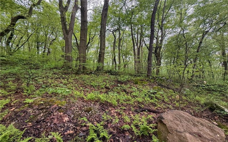 0 Macey Rd, Latrobe, 15650, ,Farm-acreage-lot,For Sale,Macey Rd,1751901