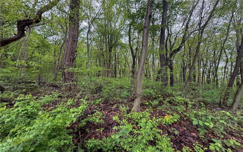 0 Macey Rd, Latrobe, 15650, ,Farm-acreage-lot,For Sale,Macey Rd,1751901