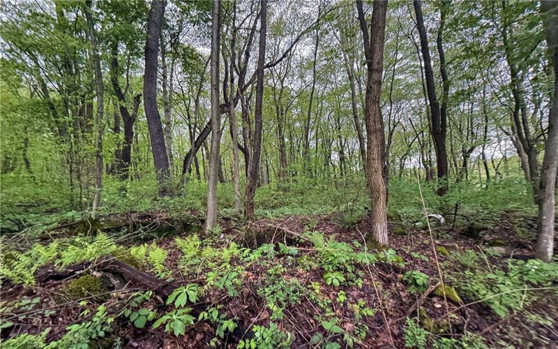 0 Macey Rd, Latrobe, 15650, ,Farm-acreage-lot,For Sale,Macey Rd,1751901