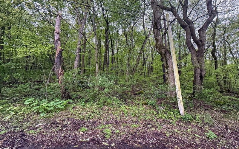 0 Macey Rd, Latrobe, 15650, ,Farm-acreage-lot,For Sale,Macey Rd,1751901