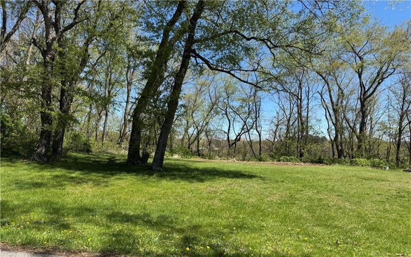 16 Walnut St, Burgettstown, 15021, ,Farm-acreage-lot,For Sale,Walnut St,1752535