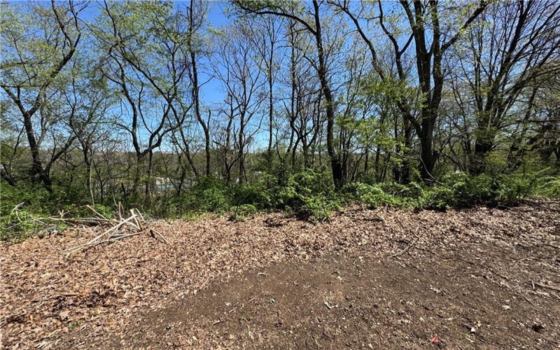 16 Walnut St, Burgettstown, 15021, ,Farm-acreage-lot,For Sale,Walnut St,1752535