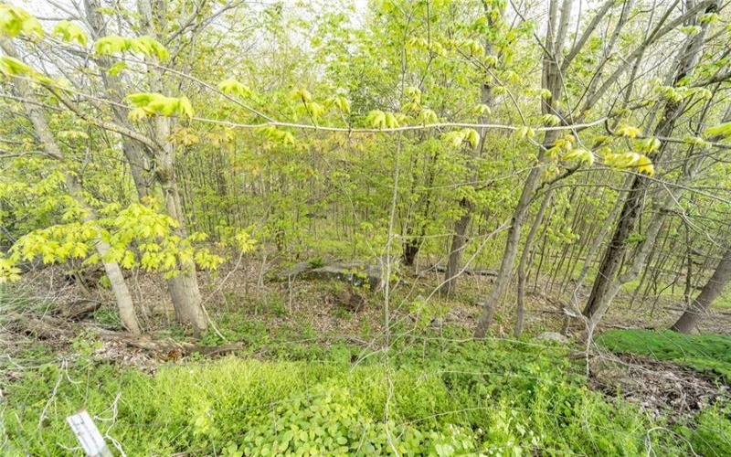 3872 Route 31, Jones Mills, 15646, 3 Bedrooms Bedrooms, 5 Rooms Rooms,2 BathroomsBathrooms,Residential,For Sale,Route 31,1752718