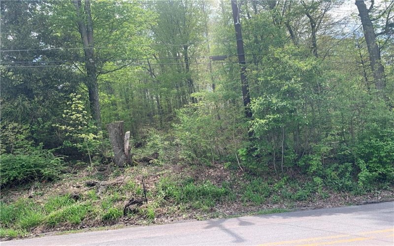 91 Lambert St, Central City, 15926, ,Farm-acreage-lot,For Sale,Lambert St,1753124