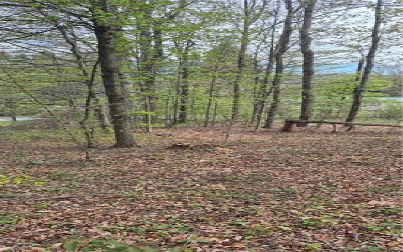 91 Lambert St, Central City, 15926, ,Farm-acreage-lot,For Sale,Lambert St,1753124