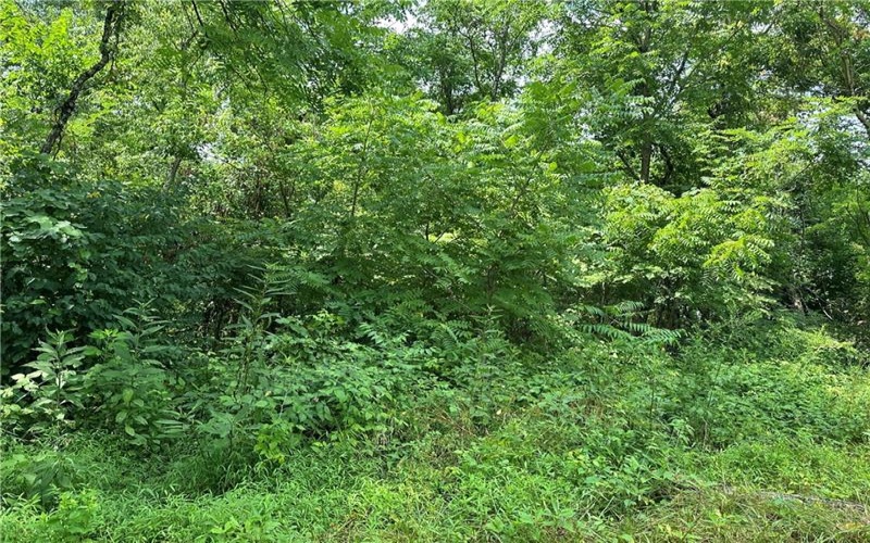 0 Mustard Lane, Lake Lynn, 15451, ,Farm-acreage-lot,For Sale,Mustard Lane,1753205
