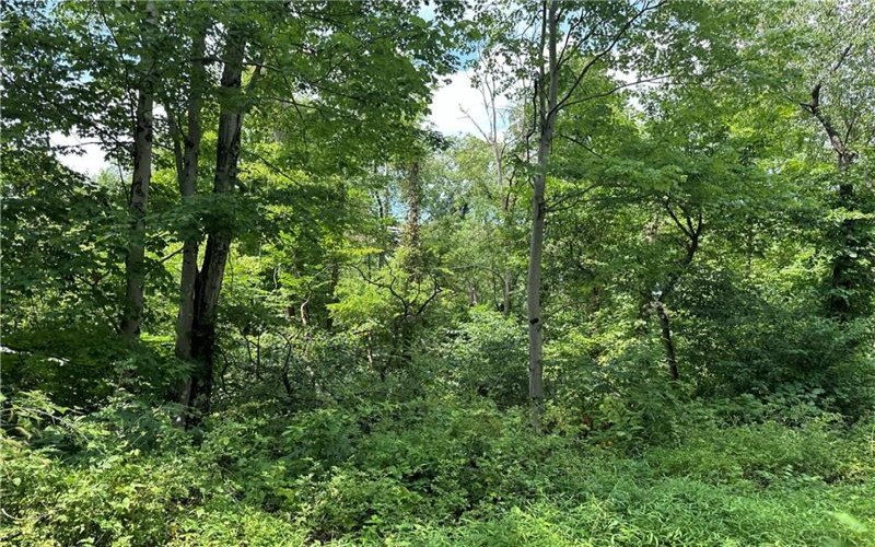 0 Mustard Lane, Lake Lynn, 15451, ,Farm-acreage-lot,For Sale,Mustard Lane,1753205