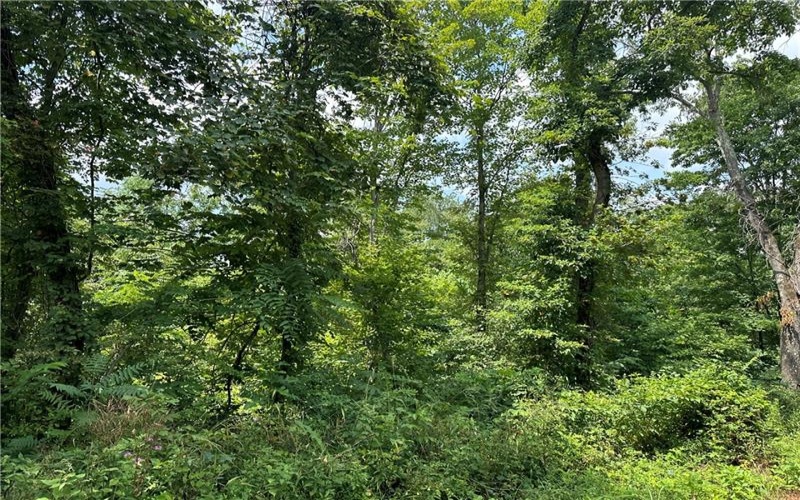 0 Mustard Lane, Lake Lynn, 15451, ,Farm-acreage-lot,For Sale,Mustard Lane,1753205
