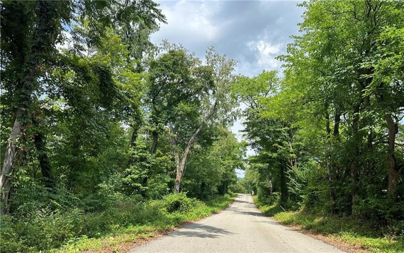 0 Mustard Lane, Lake Lynn, 15451, ,Farm-acreage-lot,For Sale,Mustard Lane,1753205