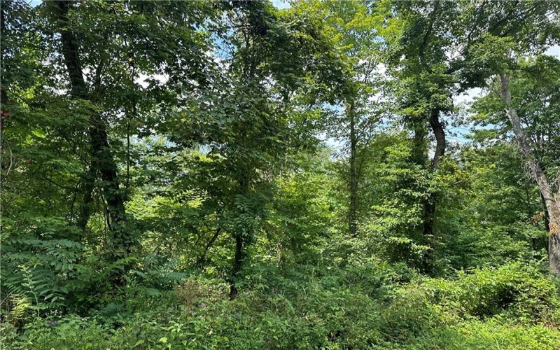 0 Mustard Lane, Lake Lynn, 15451, ,Farm-acreage-lot,For Sale,Mustard Lane,1753205