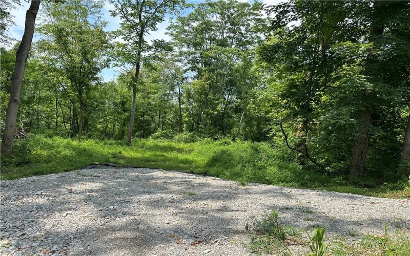 0 Mustard Lane, Lake Lynn, 15451, ,Farm-acreage-lot,For Sale,Mustard Lane,1753205
