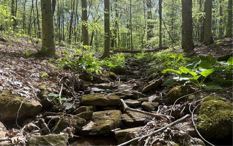 Lot 3 & 4 Killarney Road, Mill Run, 15464, ,Farm-acreage-lot,For Sale,Killarney Road,1753354