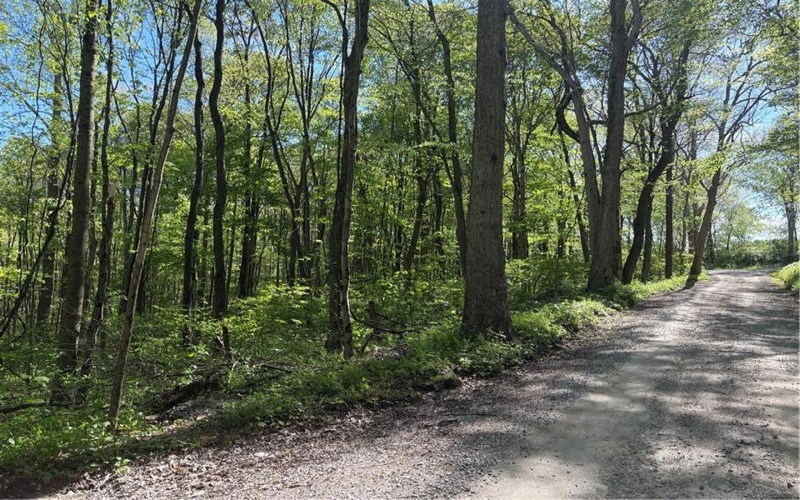 Lot 3 & 4 Killarney Road, Mill Run, 15464, ,Farm-acreage-lot,For Sale,Killarney Road,1753354