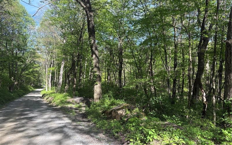 Lot 3 & 4 Killarney Road, Mill Run, 15464, ,Farm-acreage-lot,For Sale,Killarney Road,1753354