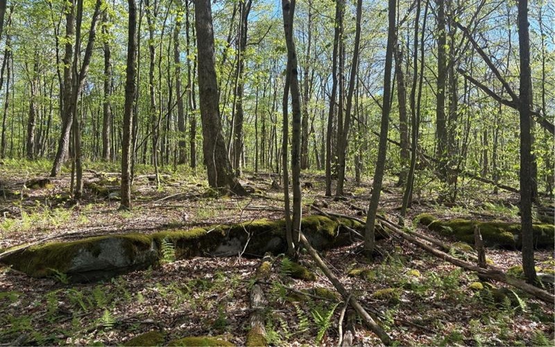 Lot 3 & 4 Killarney Road, Mill Run, 15464, ,Farm-acreage-lot,For Sale,Killarney Road,1753354