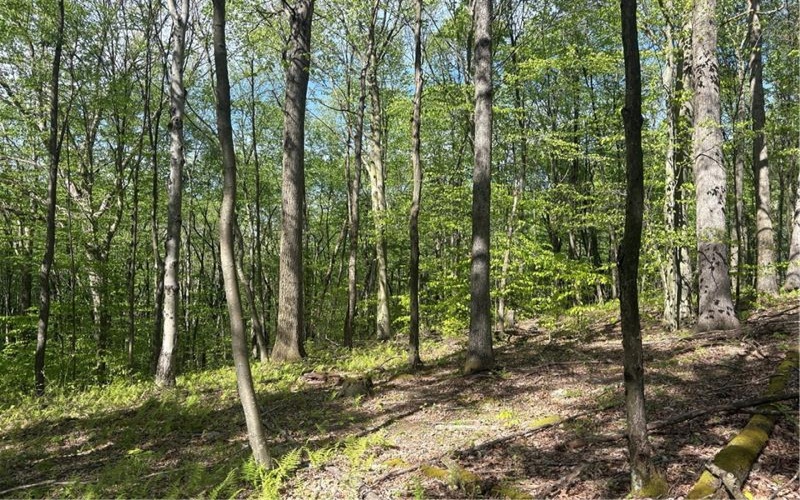 Lot 3 & 4 Killarney Road, Mill Run, 15464, ,Farm-acreage-lot,For Sale,Killarney Road,1753354