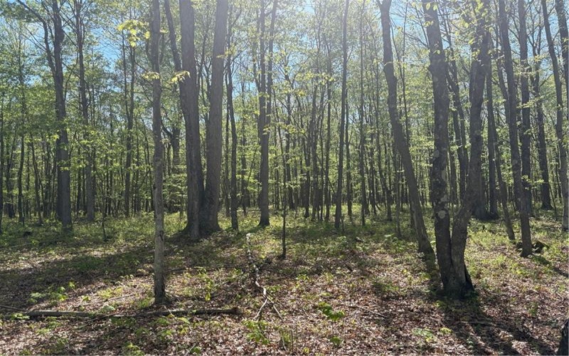 Lot 3 & 4 Killarney Road, Mill Run, 15464, ,Farm-acreage-lot,For Sale,Killarney Road,1753354