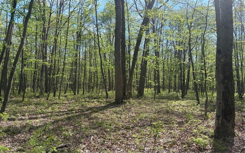 Lot 3 & 4 Killarney Road, Mill Run, 15464, ,Farm-acreage-lot,For Sale,Killarney Road,1753354