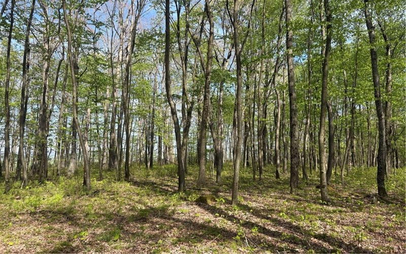 Lot 3 & 4 Killarney Road, Mill Run, 15464, ,Farm-acreage-lot,For Sale,Killarney Road,1753354