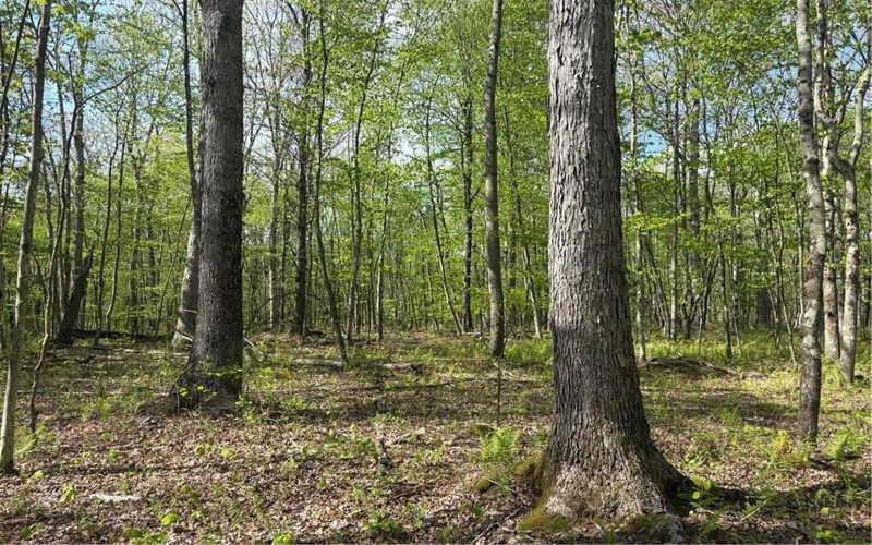 Lot 3 & 4 Killarney Road, Mill Run, 15464, ,Farm-acreage-lot,For Sale,Killarney Road,1753354